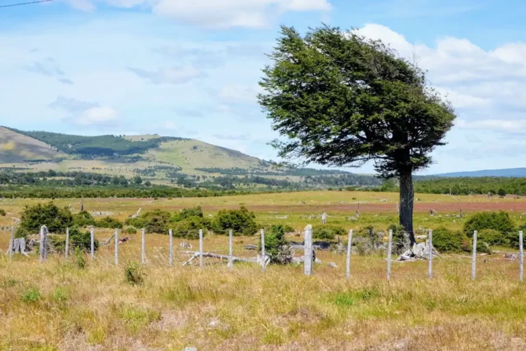 Al Museo del Ciclismo “A. Cuffini” ha vinto il vento - ciclismo, cuffini