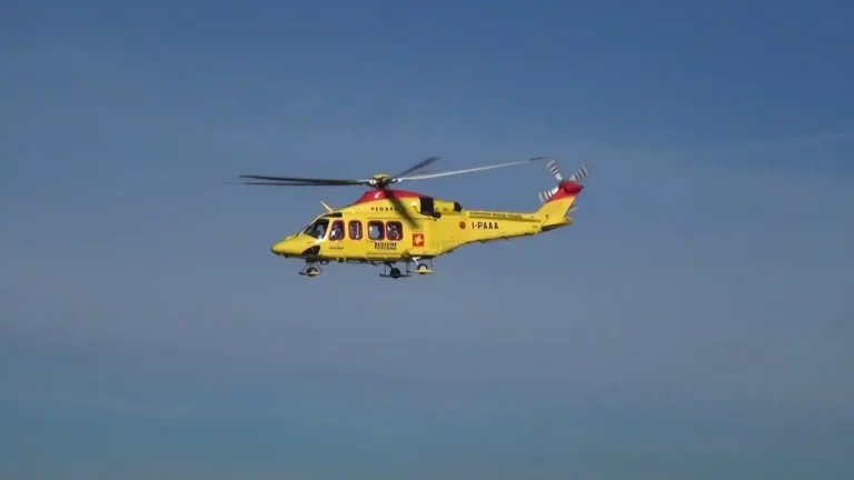 Pontremoli, uomo travolto da un albero: soccorso con l’elisoccorso Pegaso - albero, elisoccorso