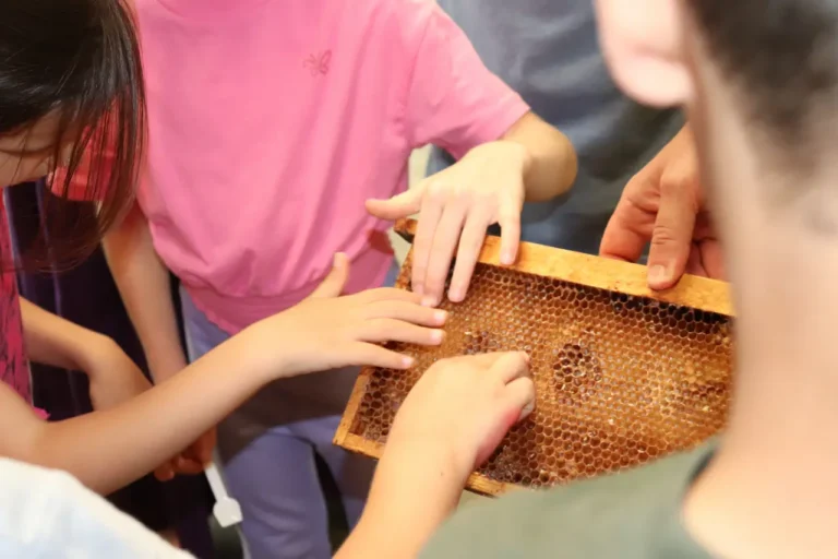 Prima edizione di Bancarel’Miele a Mulazzo, festa del miele DOP della Lunigiana