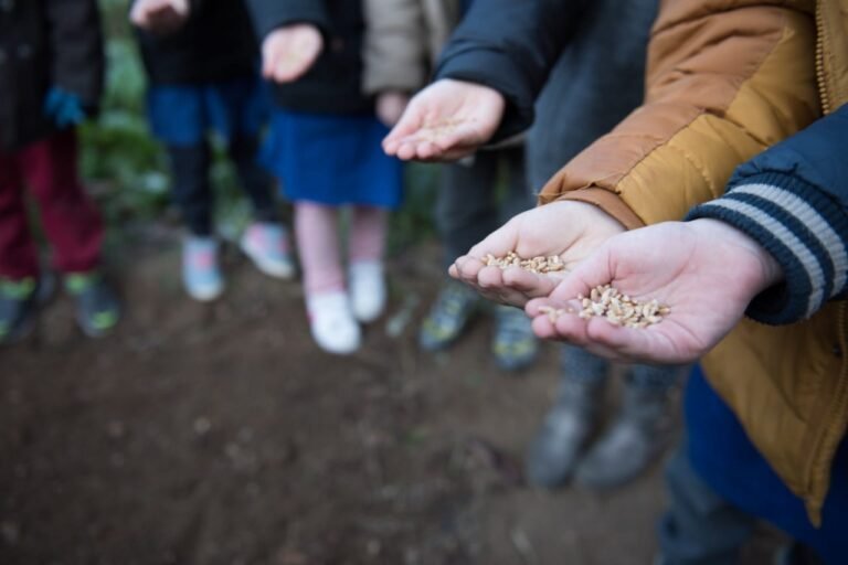 A Pontremoli “Orto al centro” nel Mercato della Terra di domenica 1° giugno - Mercato, orto