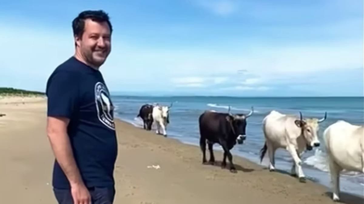 Salvini insulta i toscani, la regione: "Parole indegne di un ministro" - Toscana