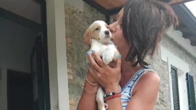 Tempo di vacanze? Per i vostri animali c'è il canile di Groppoli quando voi siete via - Lunigiana
