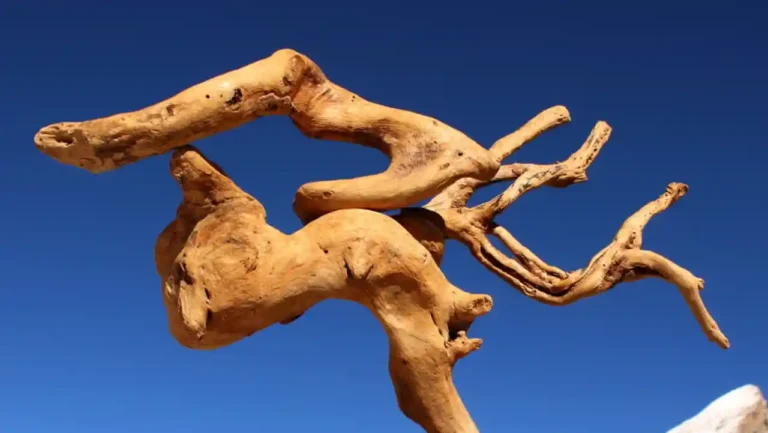 Pittura e scultura di Erminio Tansini, esposizioni in Italia e In Svizzera -