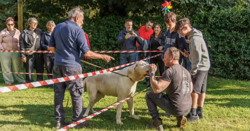 Canile aperto: iniziativa per i "Giganti Gentili" di Mulazzo - Animali, Cani