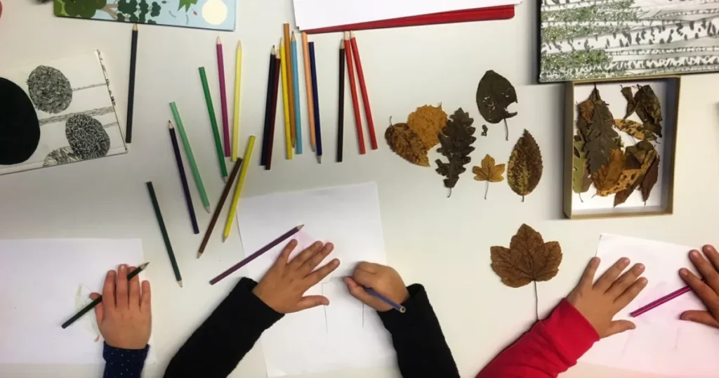 Eco – Campus a Filattiera, attività e laboratori tematici per piccoli esploratori - campus, Filattiera