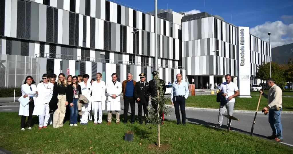 All’ospedale Apuane “Un albero per la salute” grazie ai Carabinieri del Raggruppamento Biodiversità e a FADOI All’ospedale Apuane “Un albero per la salute” grazie ai Carabinieri del Raggruppamento Biodiversità e a FADOI - albero, apuane