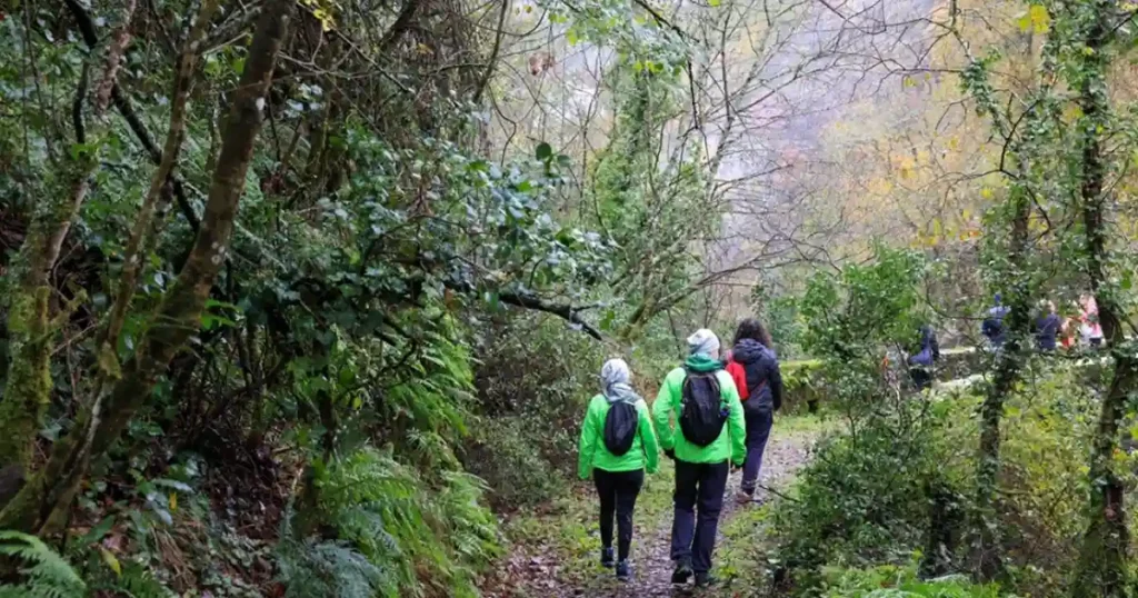 A Fivizzano torna la Mangialonga delle Castagne - castagne, Fivizzano