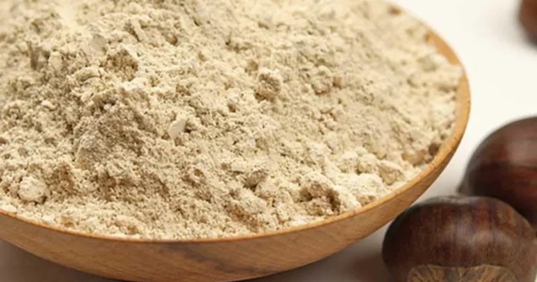 Torna il Contest dedicato alla farina di castagne il 12 dicembre 2025 a Sassalbo - castagne, contest