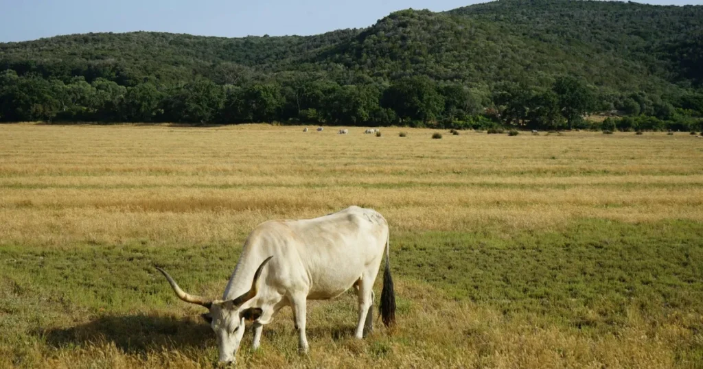 I 5 parchi più belli della Toscana - alpi apuane, arcipelago