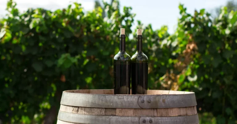 Enologia moderna: il ruolo chiave di enologi e tecnici di cantina nella qualità del vino - cantina, enologi