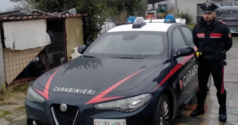 Due arresti per detenzione ai fini di spaccio di sostanze stupefacenti a Vezzano e Bolano - arresto, carabinieri