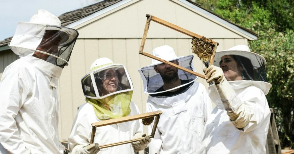 Un nuovo corso per diventare apicoltori rivolto ad hobbisti e imprenditori - allevamento, api