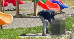Uccide un gatto e prova a cucinarlo nel parco: fermato a Sarzana - fermato, parco