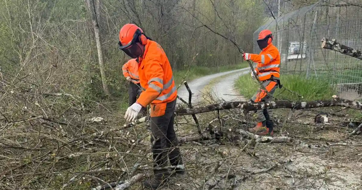 Eco della Lunigiana -