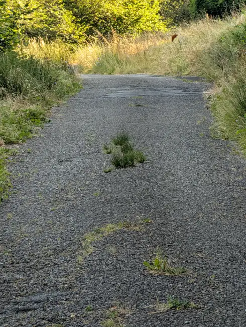 Fivizzano: tra riqualificazione urbana e totale dimenticanza - bardine di cecina, Fivizzano