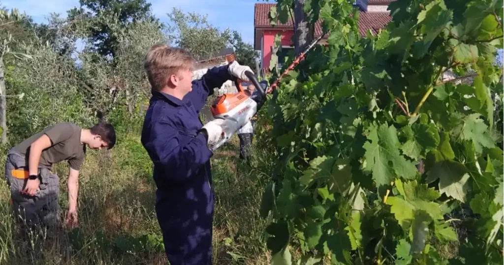Al Parentuccelli Arzelà di Sarzana il nuovo corso biennale ITS vitivinicolo, iscrizioni aperte - its, vitivinicolo